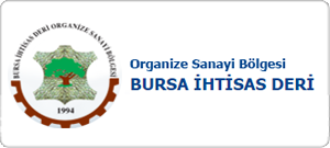 Bursa Deri Organize Sanayi Bölgesi Atıksu Arıtma Tesisi Uygulama Projesi