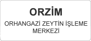 Bursa Orhangazi İlçesi Orzim Zeytin İşleme Merkezinden Kaynaklanan Atıksuların Karakterizasyonu Belirleme ve Arıtabilirlik Çalışmalarının Ar-Ge Raporu